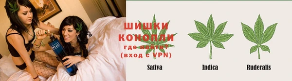 дурь Белокуриха